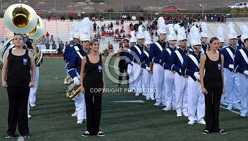 NHS Blue Diamond Brigade 9 12 2014